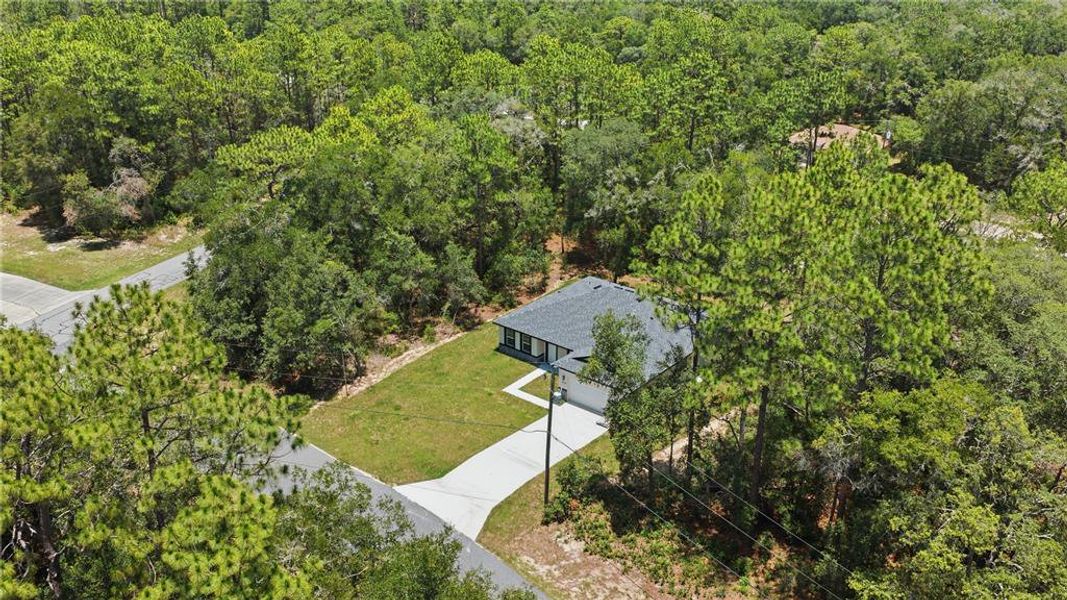 Natural landscape and outdoor views near  in Citrus Springs (Image 31).