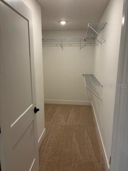 Spacious, unfurnished interior of a new home in Arbor Park, Leesburg (Image 8).