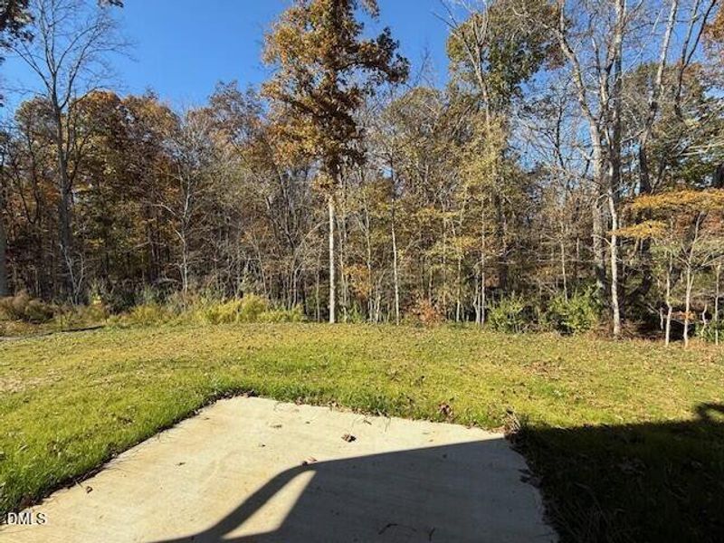 100 VR Back yard 2 100 VR Back yard 2