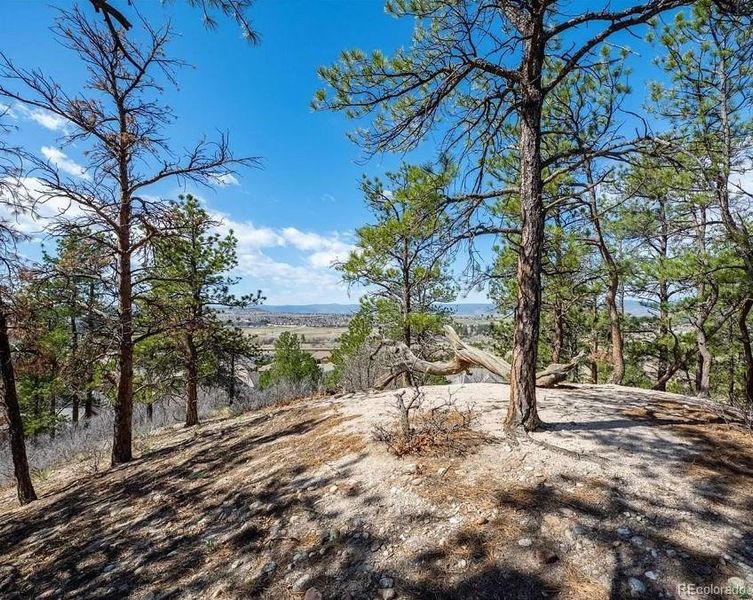 Natural landscape and outdoor views near  in Castle Rock (Image 11).