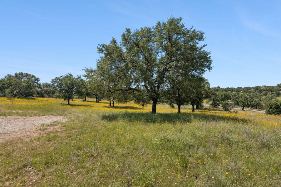 Natural landscape and outdoor views near  in Horseshoe Bay (Image 16).