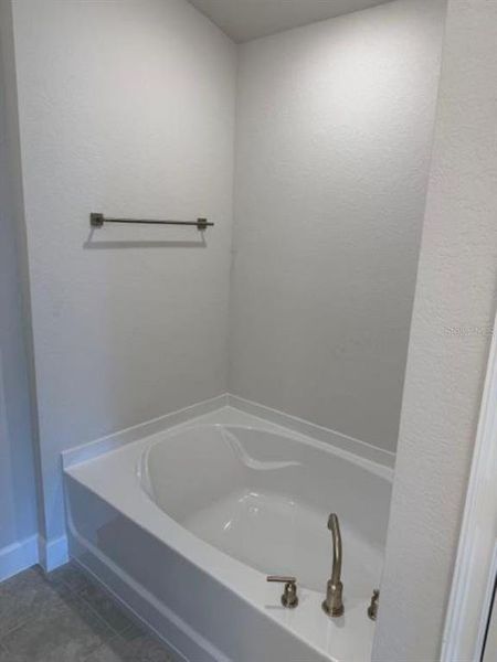 Primary Bathtub Primary Bathtub