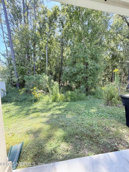 Natural landscape and outdoor views near Pinewood Place in Middleburg (Image 31).