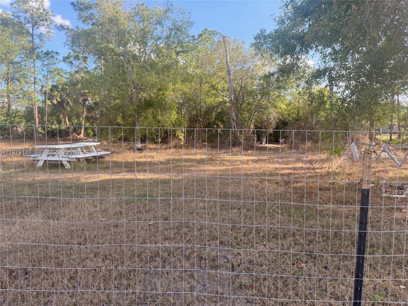 Natural landscape and outdoor views near  in Clewiston (Image 11).