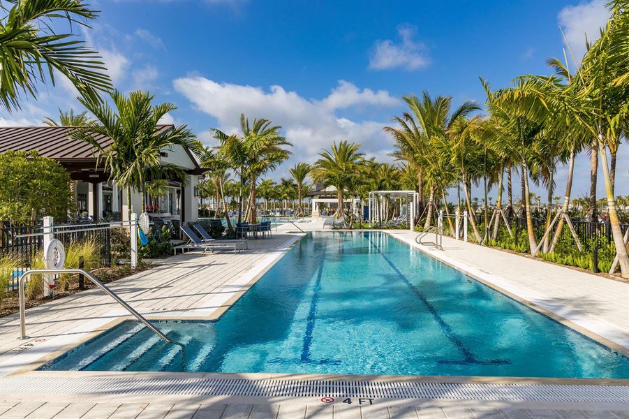 Lap Pool Lap Pool