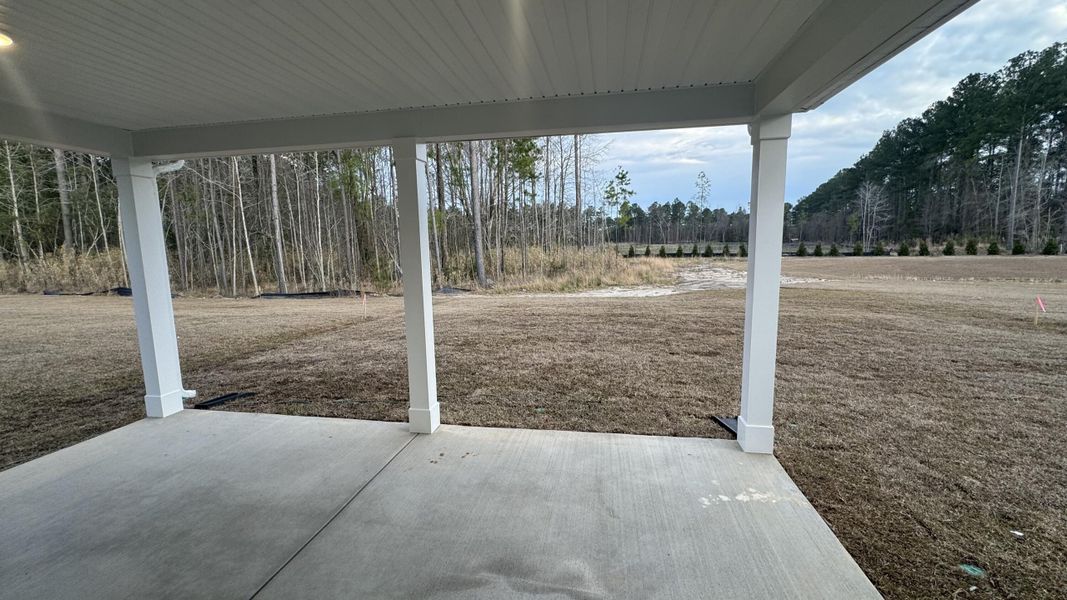Exterior details and patio area of a home in Watson Hill, Summerville (Image 26).