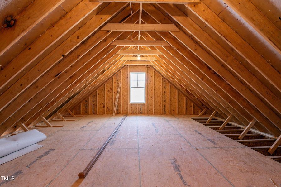 50-web-or-mls-DSC_0938