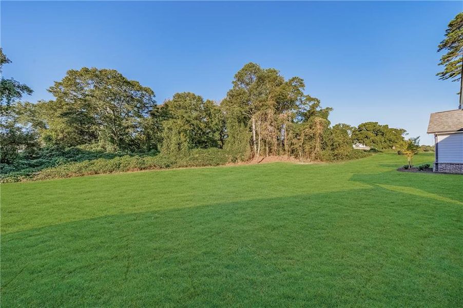 Natural landscape and outdoor views near in Buford (Image 55). Natural landscape and outdoor views near in Buford (Image 55).