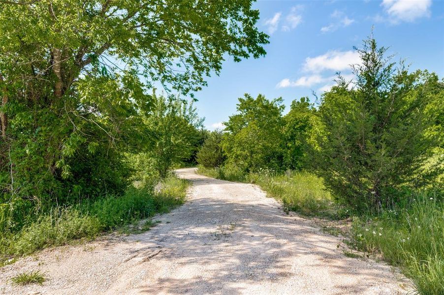Natural landscape and outdoor views near  in Blue Ridge (Image 24).