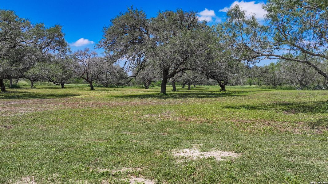 Natural landscape and outdoor views near in Kenedy (Image 10). Natural landscape and outdoor views near in Kenedy (Image 10).