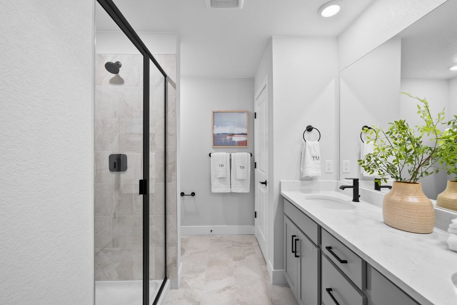 Representative furnished interior of a home built from the Backcountry by Taylor Morrison in Trailstone Townhomes - The Westerly Collection, Arvada (Image 17).