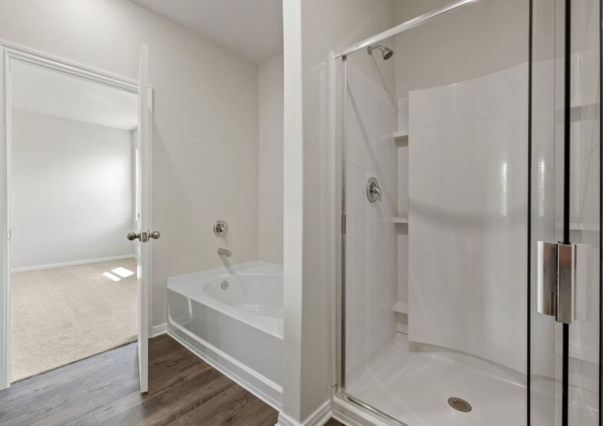 Seperate shower and tub in the master bathroom Seperate shower and tub in the master bathroom