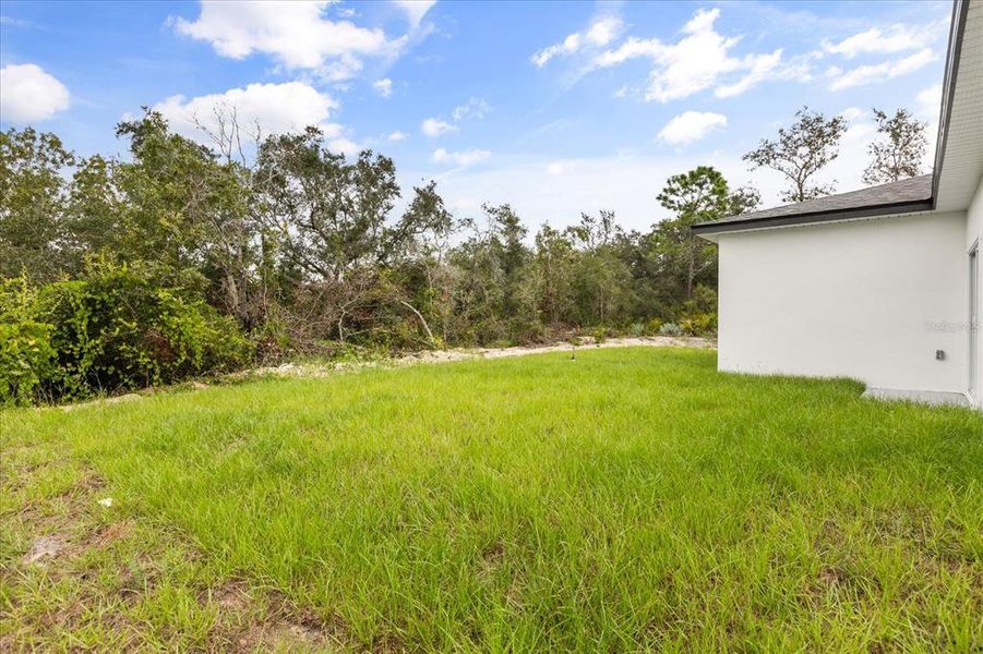 Natural landscape and outdoor views near  in Poinciana (Image 25).