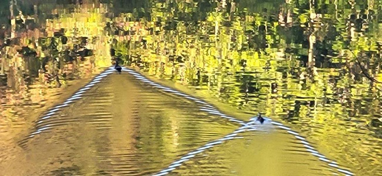 Natural landscape and outdoor views near in Ellijay (Image 40). Natural landscape and outdoor views near in Ellijay (Image 40).