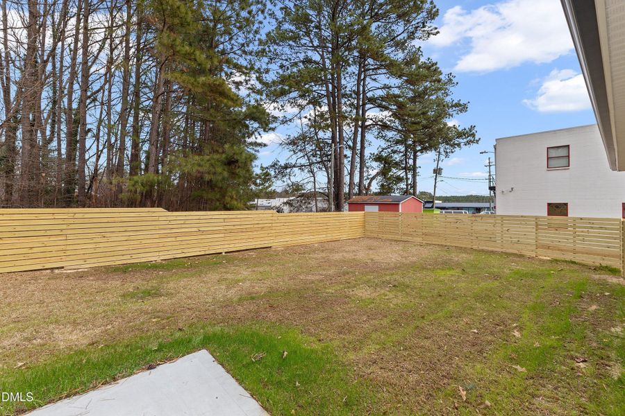 125 Davis - Backyard Only _1578