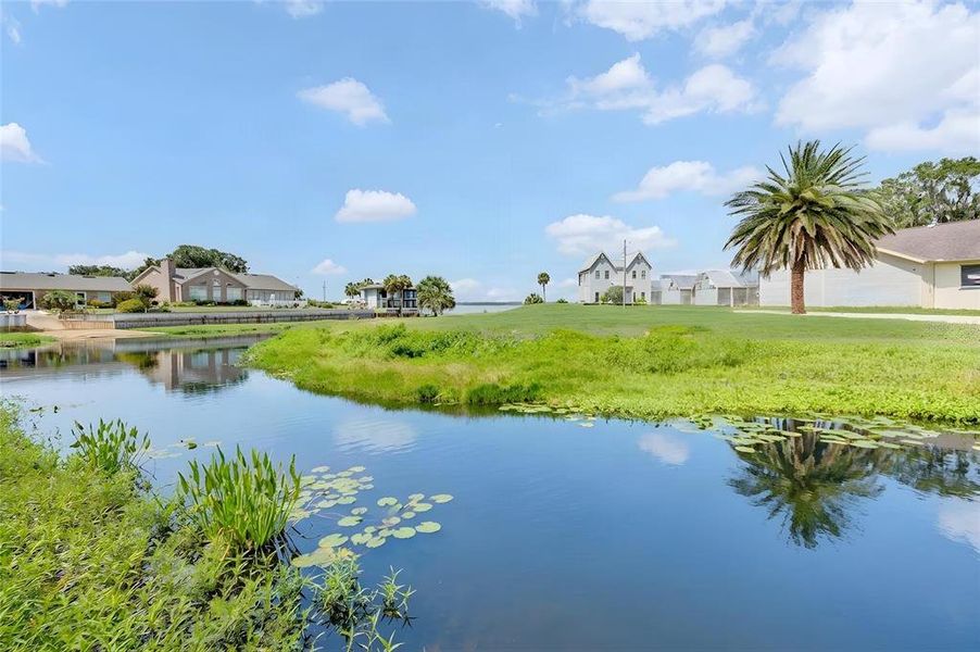 Natural landscape and outdoor views near  in Micanopy (Image 34).