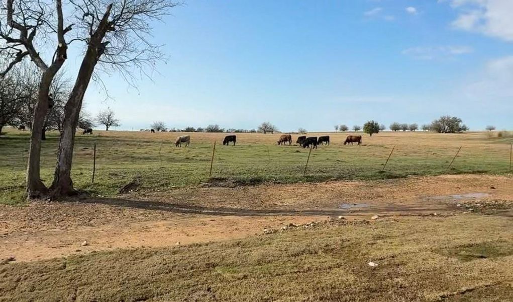 Image 14 of a home in Parker Heights.