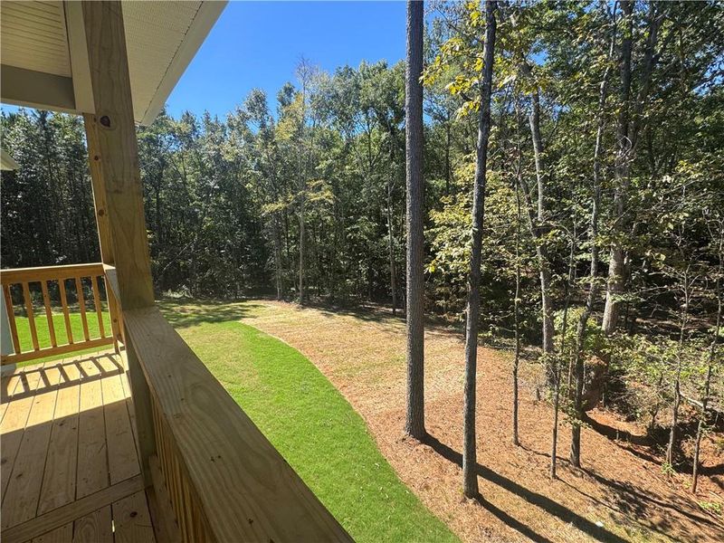 Exterior details and patio area of a home in The Fields of Walnut Creek, Pendergrass (Image 18).