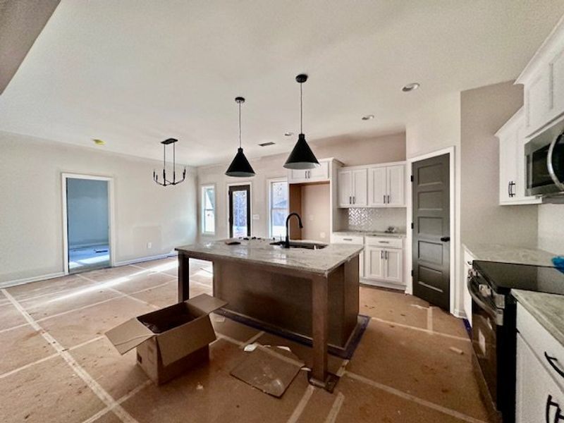 In-progress construction of a new home in Forrest Farms, Greenville, GA (Image 5).