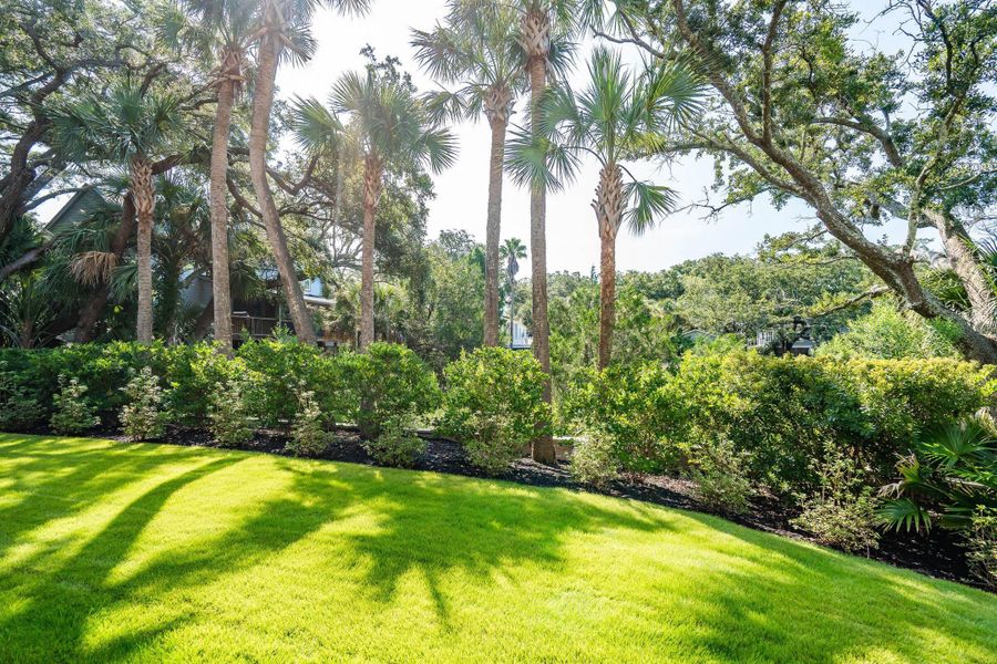 Natural landscape and outdoor views near  in Mount Pleasant (Image 89).