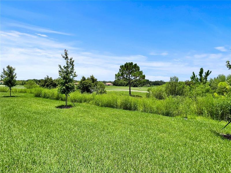Natural landscape and outdoor views near  in Davenport (Image 36).