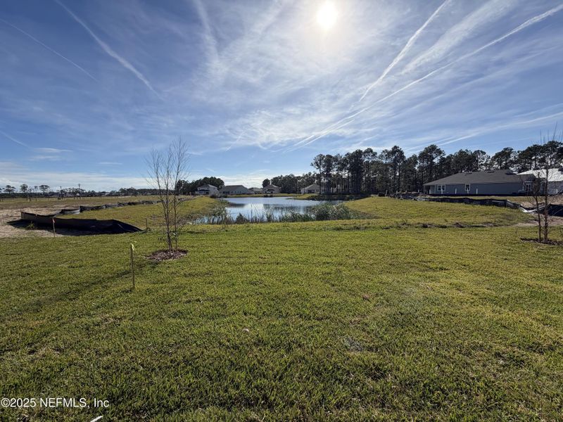 Natural landscape and outdoor views near in Flagler Beach (Image 36). Natural landscape and outdoor views near in Flagler Beach (Image 36).