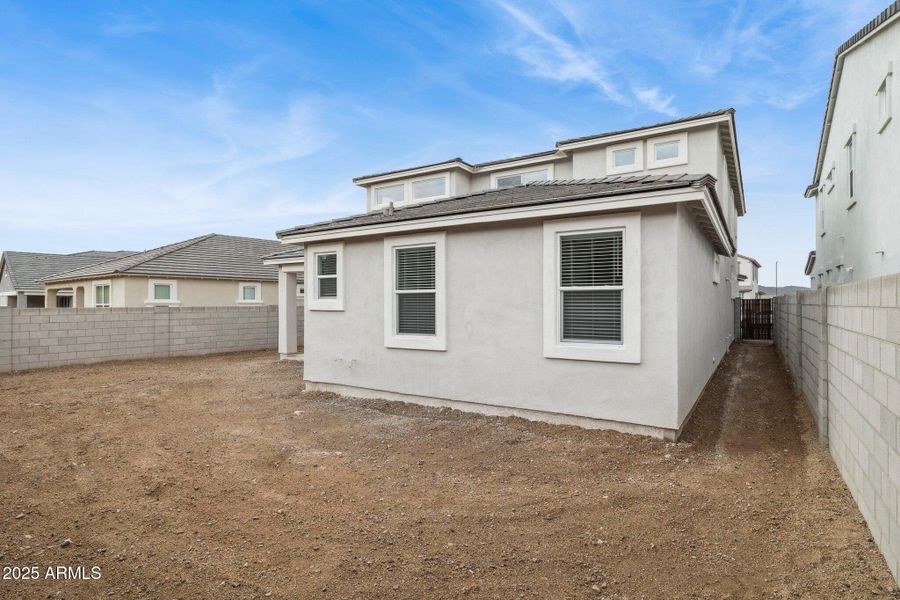 Phoenician Phoenician