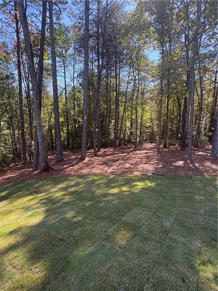 Natural landscape and outdoor views near  in Ball Ground (Image 23).
