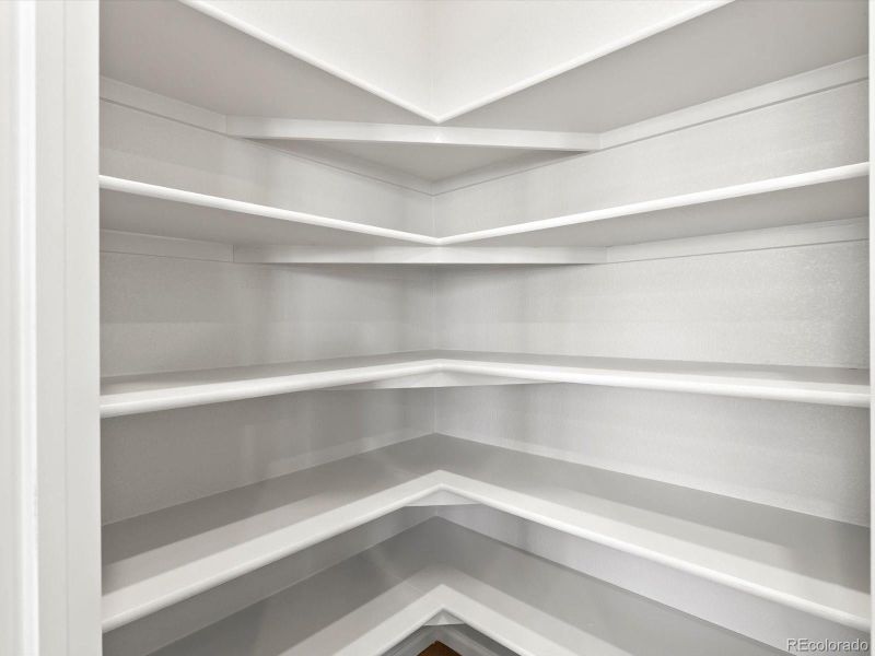 Spacious, unfurnished interior of a new home in Lake Bluff, Greeley (Image 21).