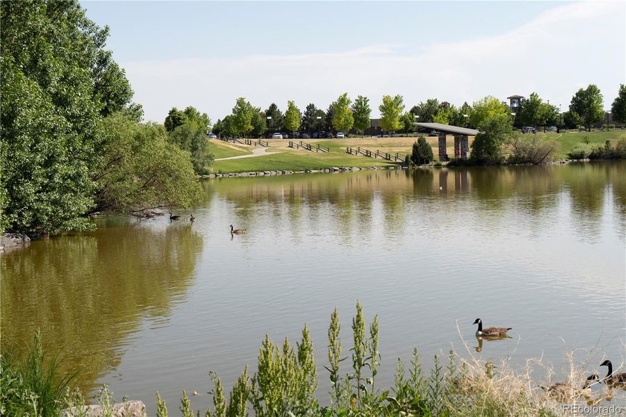 Natural landscape and outdoor views near  in Aurora (Image 42).