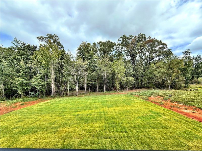 Natural landscape and outdoor views near Walker's Pointe in Anderson (Image 20).