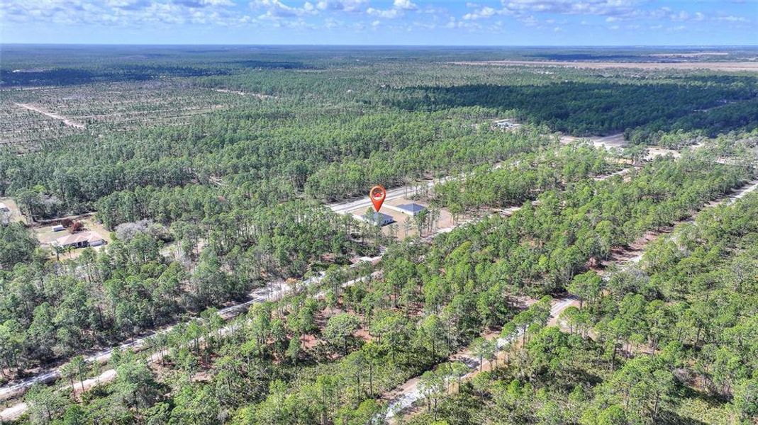 Natural landscape and outdoor views near  in Indian Lake Estates (Image 37).