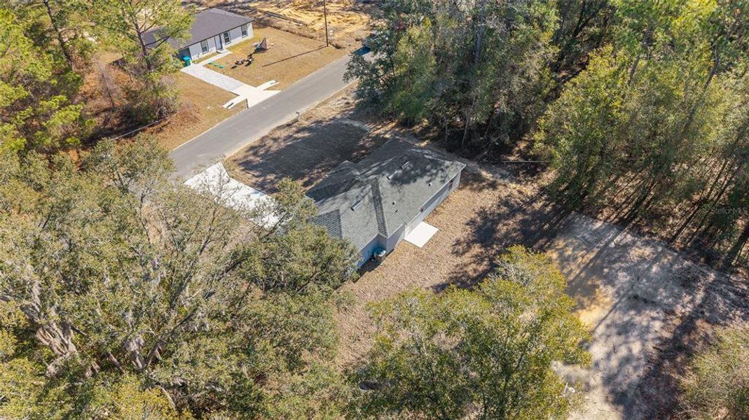 Natural landscape and outdoor views near  in Ocala (Image 39).