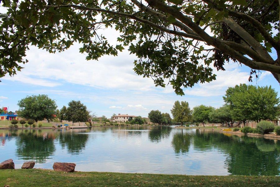 Natural landscape and outdoor views near Sahuarita Acres in Sahuarita (Image 38). Natural landscape and outdoor views near Sahuarita Acres in Sahuarita (Image 38).