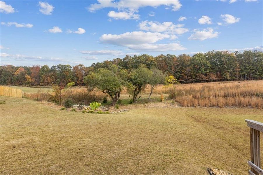 Natural landscape and outdoor views near  in Winder (Image 30).