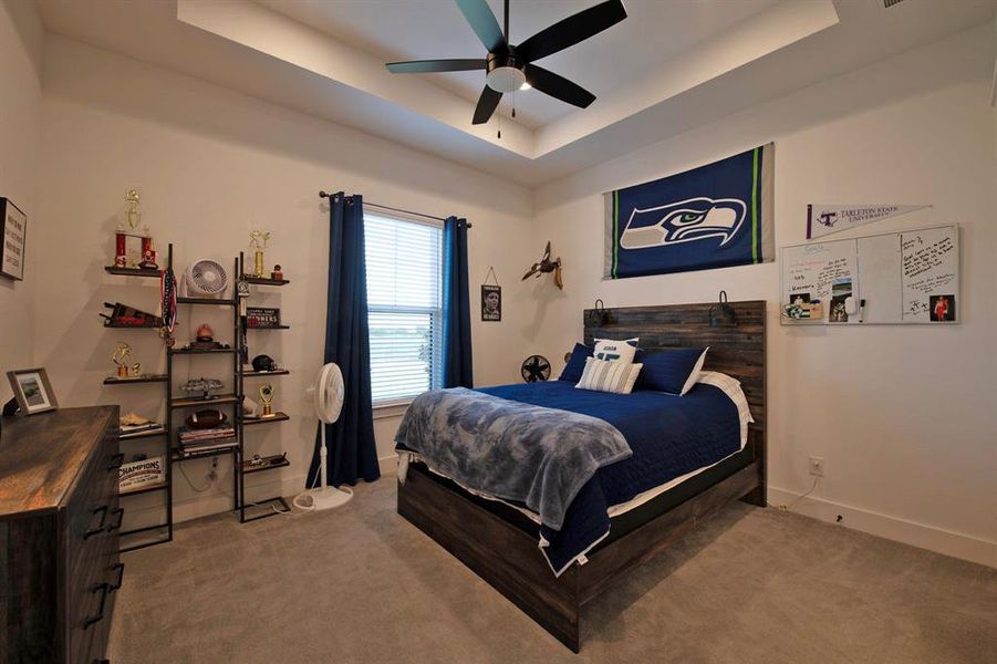 Bedroom with a raised ceiling, carpet, and a ceiling fan