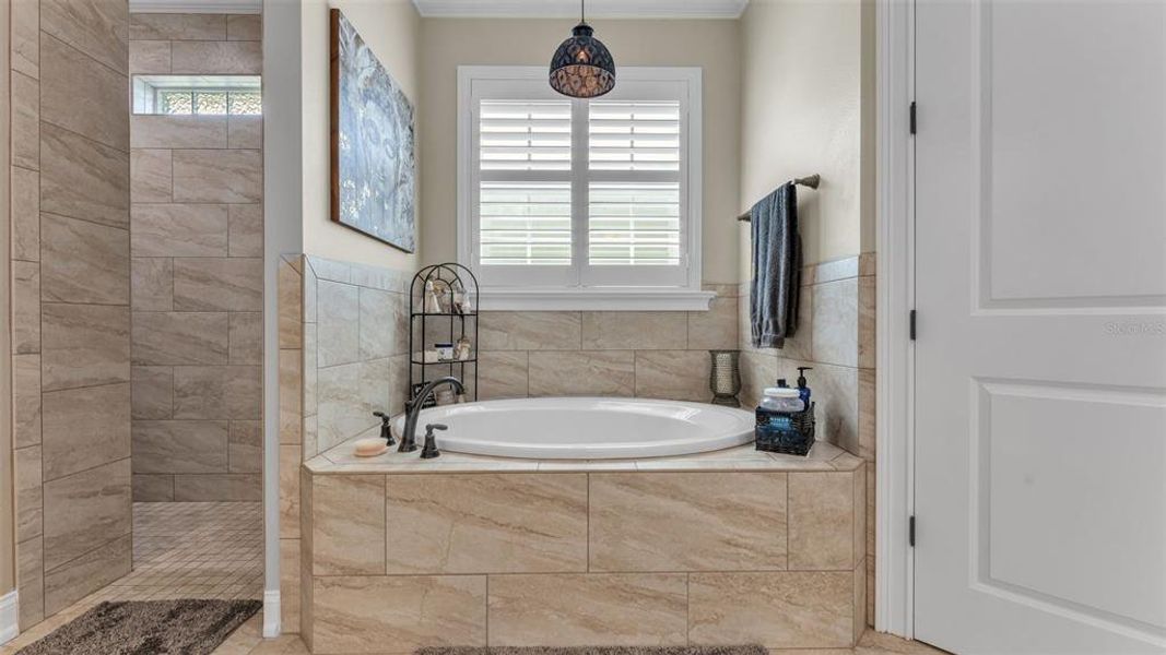 Furnished interior view inside a new home in , Lakeland (Image 35). Furnished interior view inside a new home in , Lakeland (Image 35).