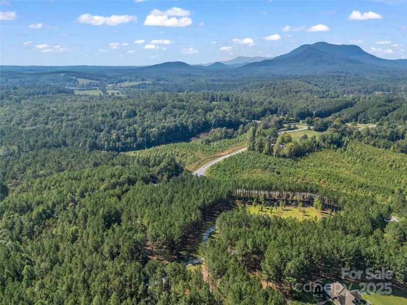 Natural landscape and outdoor views near  in Mill Spring (Image 21).