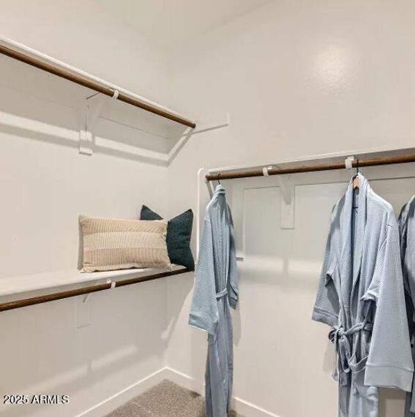 Owners Walk in Closet