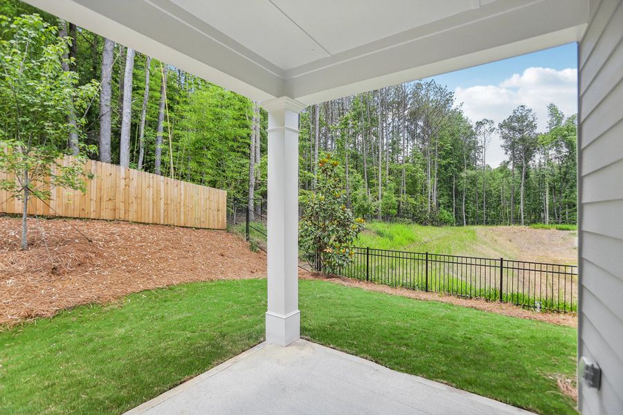 Representative exterior details of a home built from the Triton by Starlight Homes in Chestnut Grove, Douglasville (Image 4).