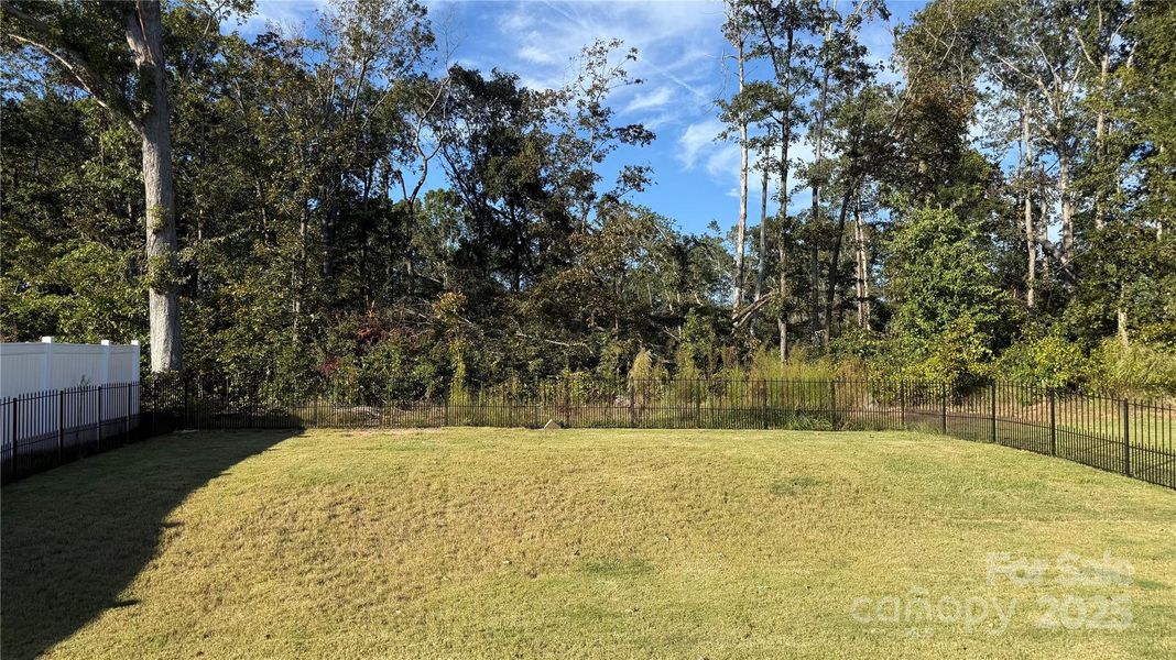 Natural landscape and outdoor views near  in Lyman (Image 21).