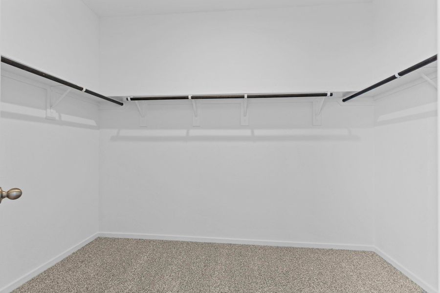 representative photo