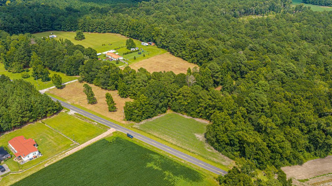 Natural landscape and outdoor views near  in Holly Hill (Image 57).