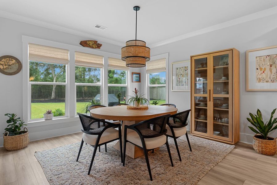 Furnished interior view inside a new home in Sea Island Preserve, Johns Island (Image 44).