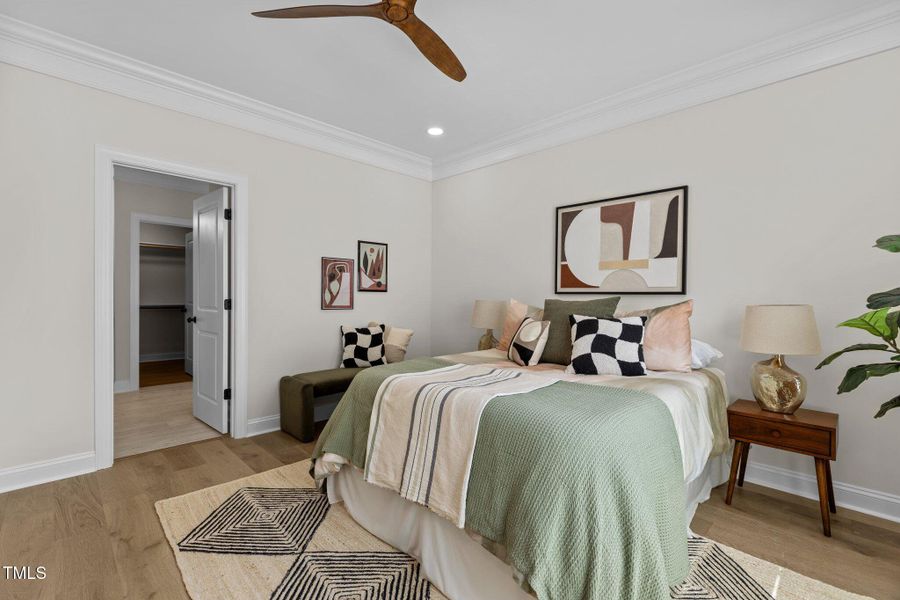 57-web-or-mls-2N6A5102