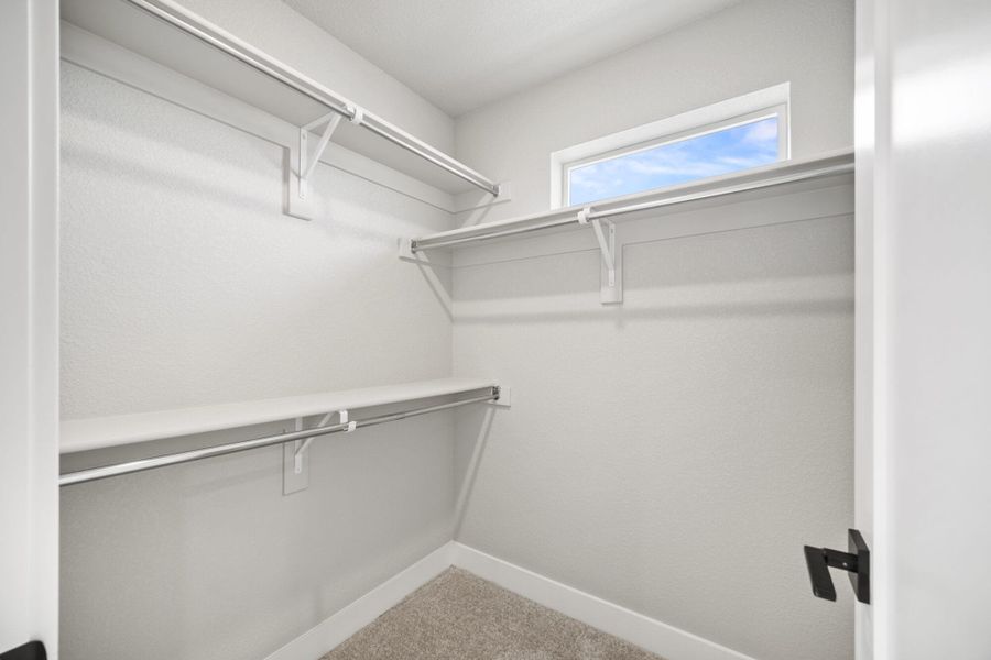 Spacious, unfurnished interior of a new home in Pony Park, Colorado Springs (Image 19).
