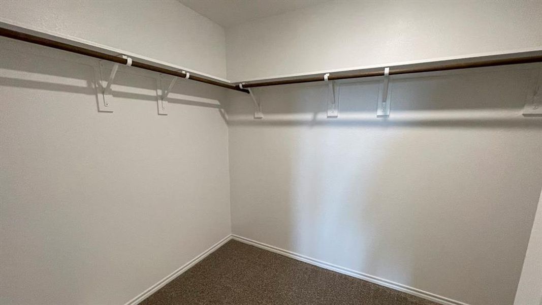 Walk-in closet featuring white walls, carpet flooring, a corner configuration, and a wooden hanging rod with white support brackets