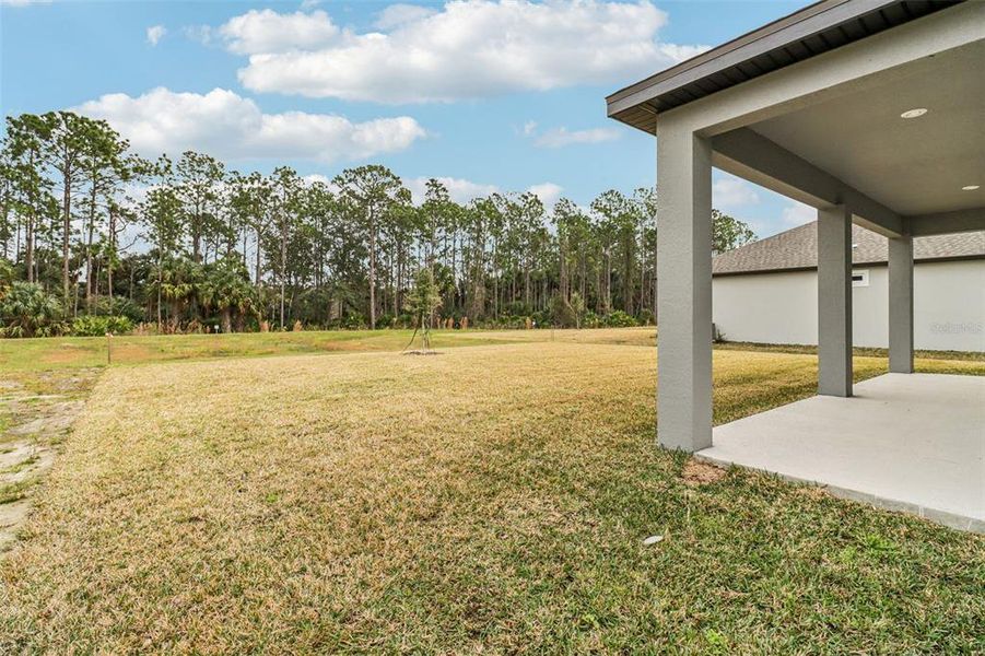 Exterior details and patio area of a home in Legends Preserve - Signature Series, Daytona Beach (Image 24).