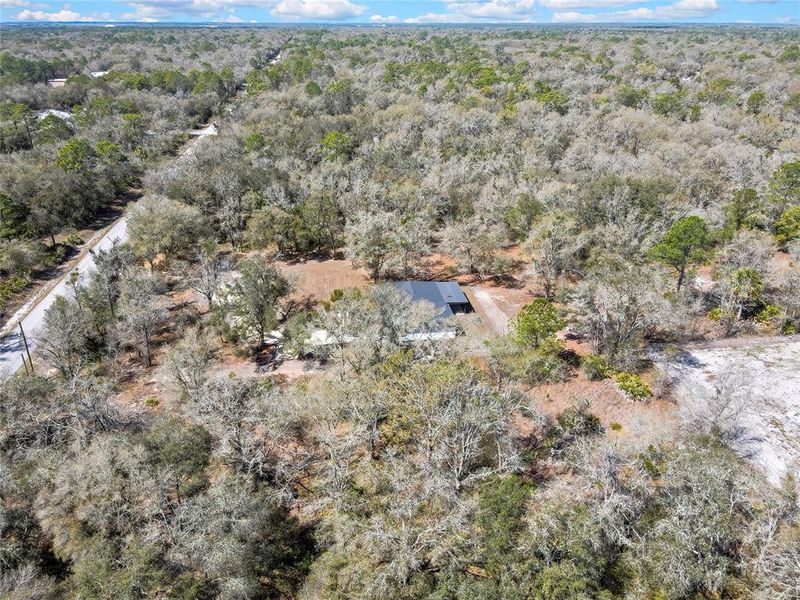 Natural landscape and outdoor views near  in Crystal River (Image 51).