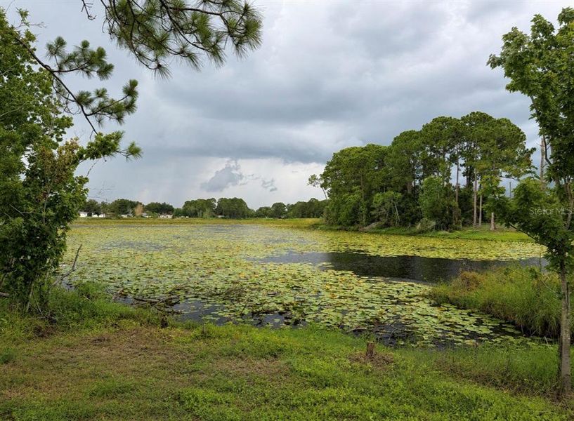 Natural landscape and outdoor views near in Deltona (Image 42). Natural landscape and outdoor views near in Deltona (Image 42).